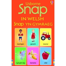 Usborne Welsh Snap Cards